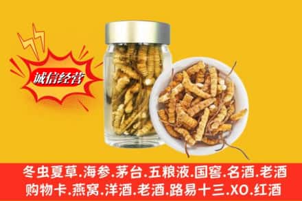 昆山市回收散虫草