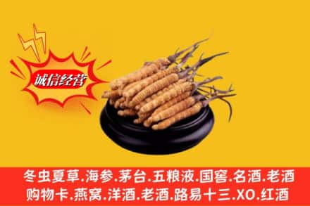 昆山市求购回收虫草多少钱每克
